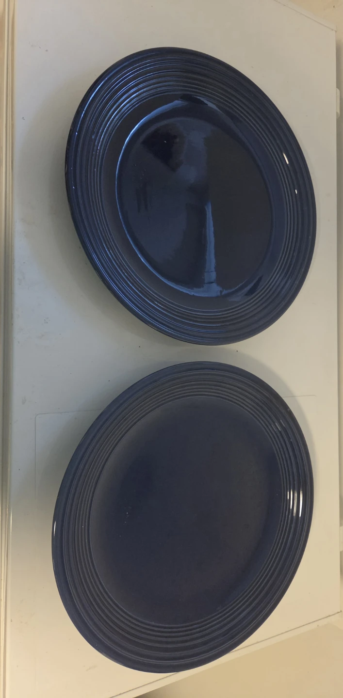 Set of 2 Dark Blue Dinner Plates