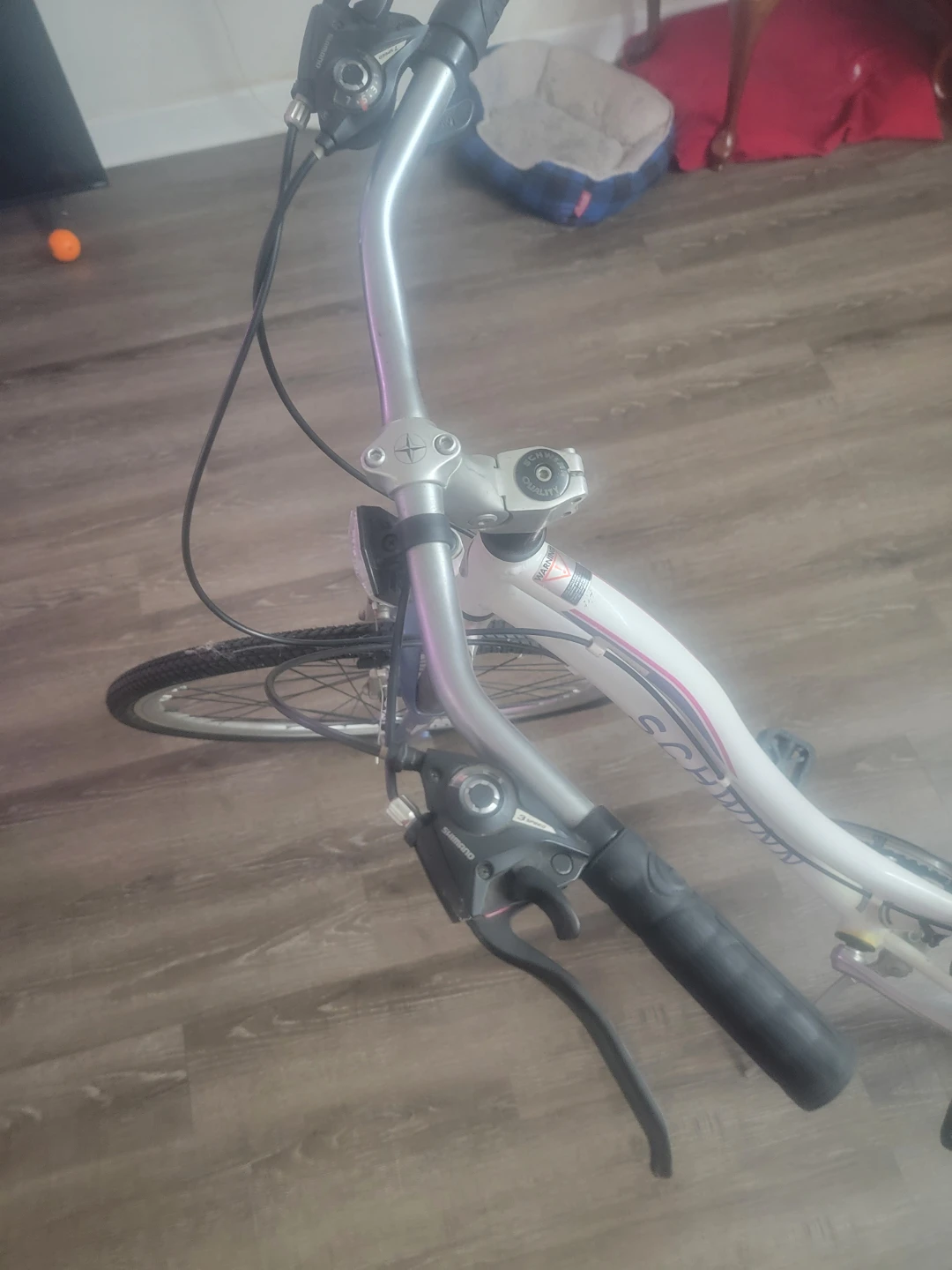21 speed  women schwinn  bike - photo 2