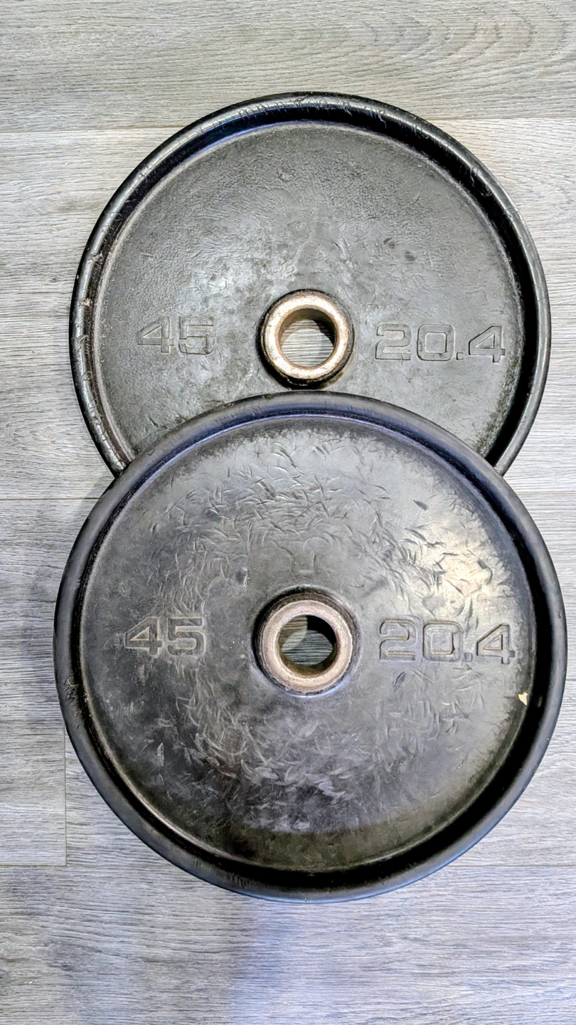 Two 45 lb Weight Plates
