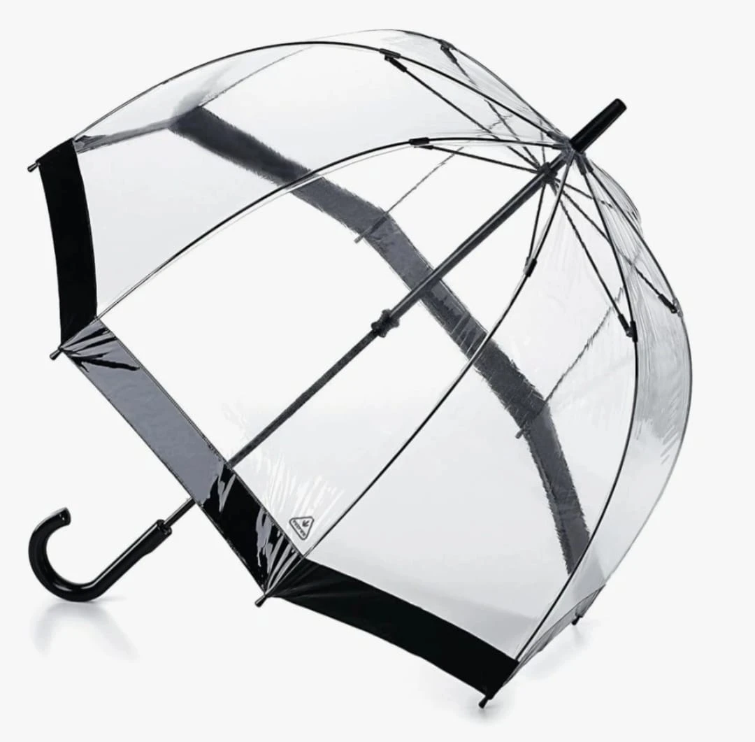 Clear Dome Umbrella with Black Trim