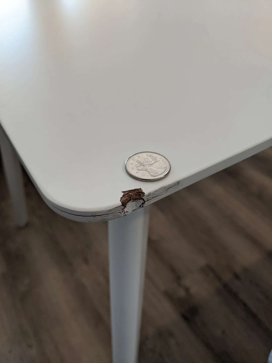 White Dining Table and Bench Set - photo 4