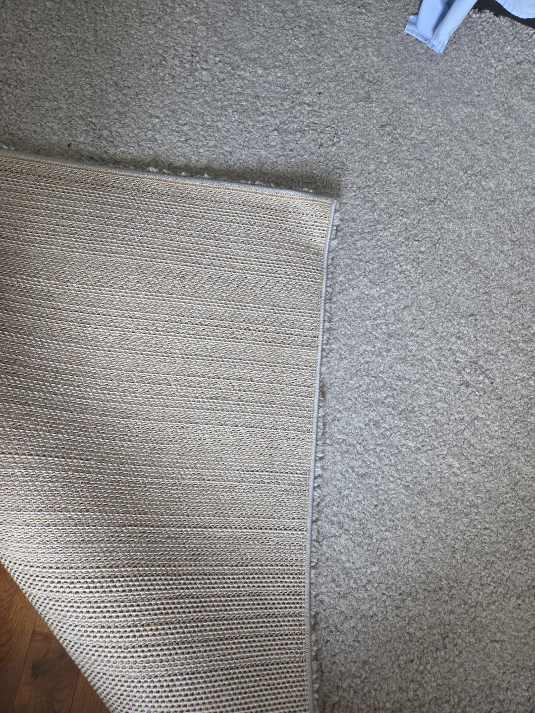 Light Grey Area Rug