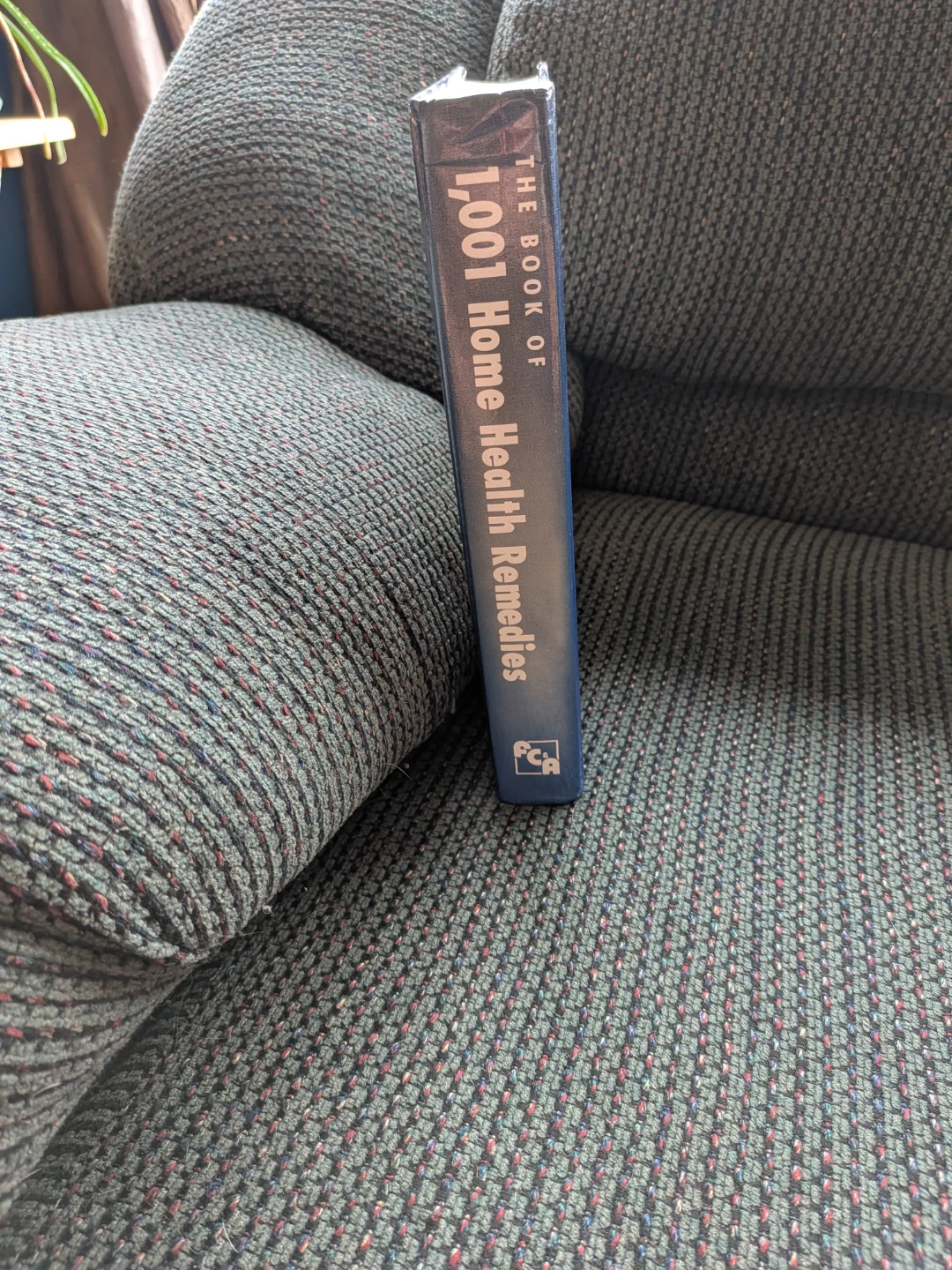 The Book of 1,001 Home Health Remedies - photo 2