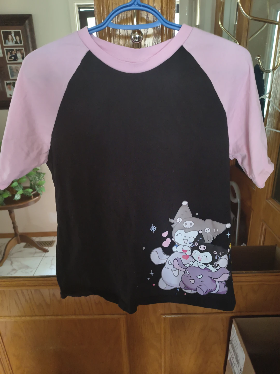 Kuromi Graphic Raglan T-Shirt