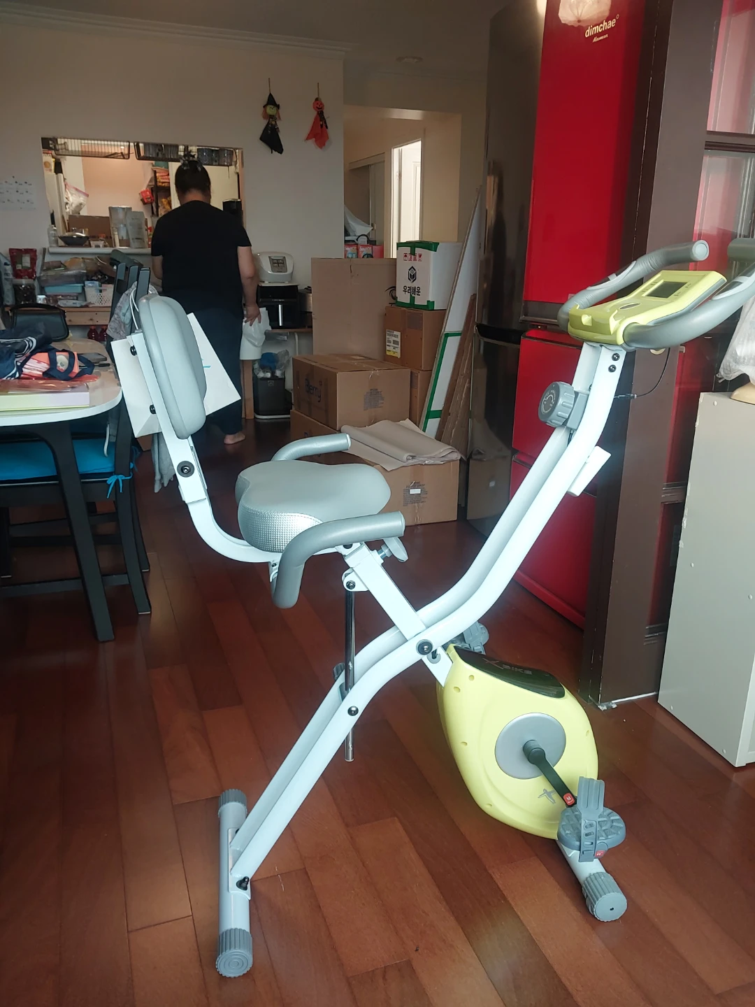 LEIKE X BIKE Exercise Bike