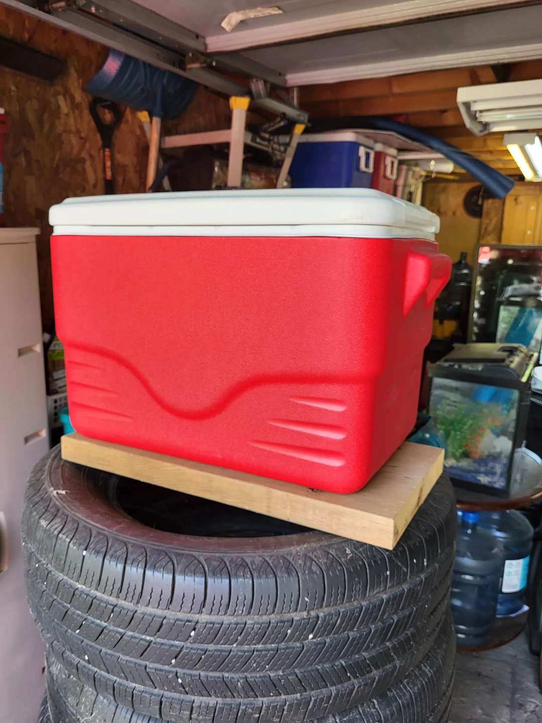 Rubbermaid Coolers - Red $10 each