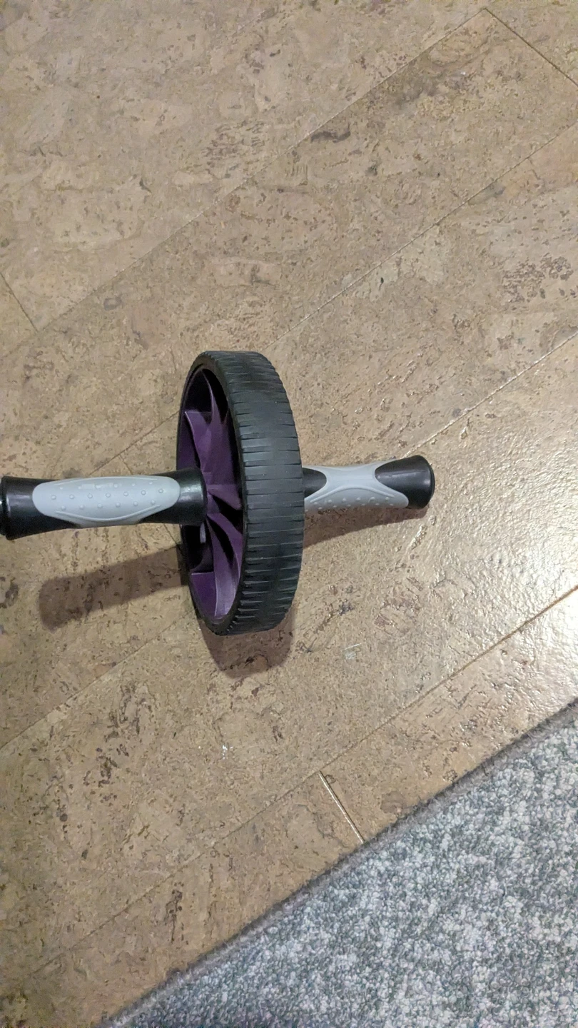 Ab Roller Wheel