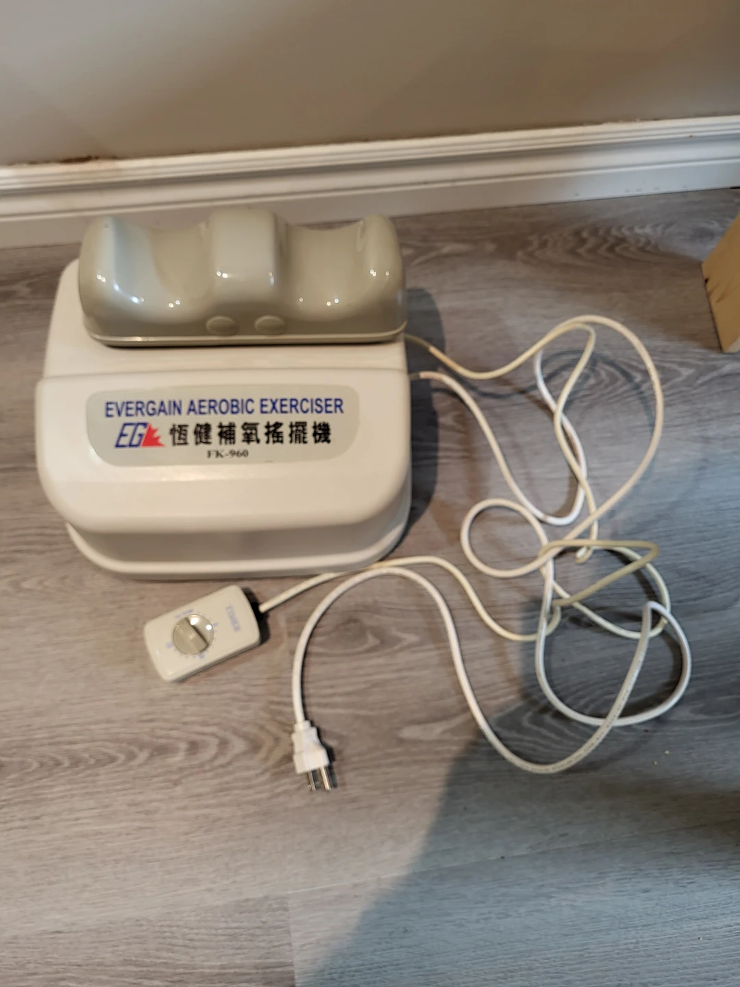 EVERGAIN Aerobic Exerciser FK-966
