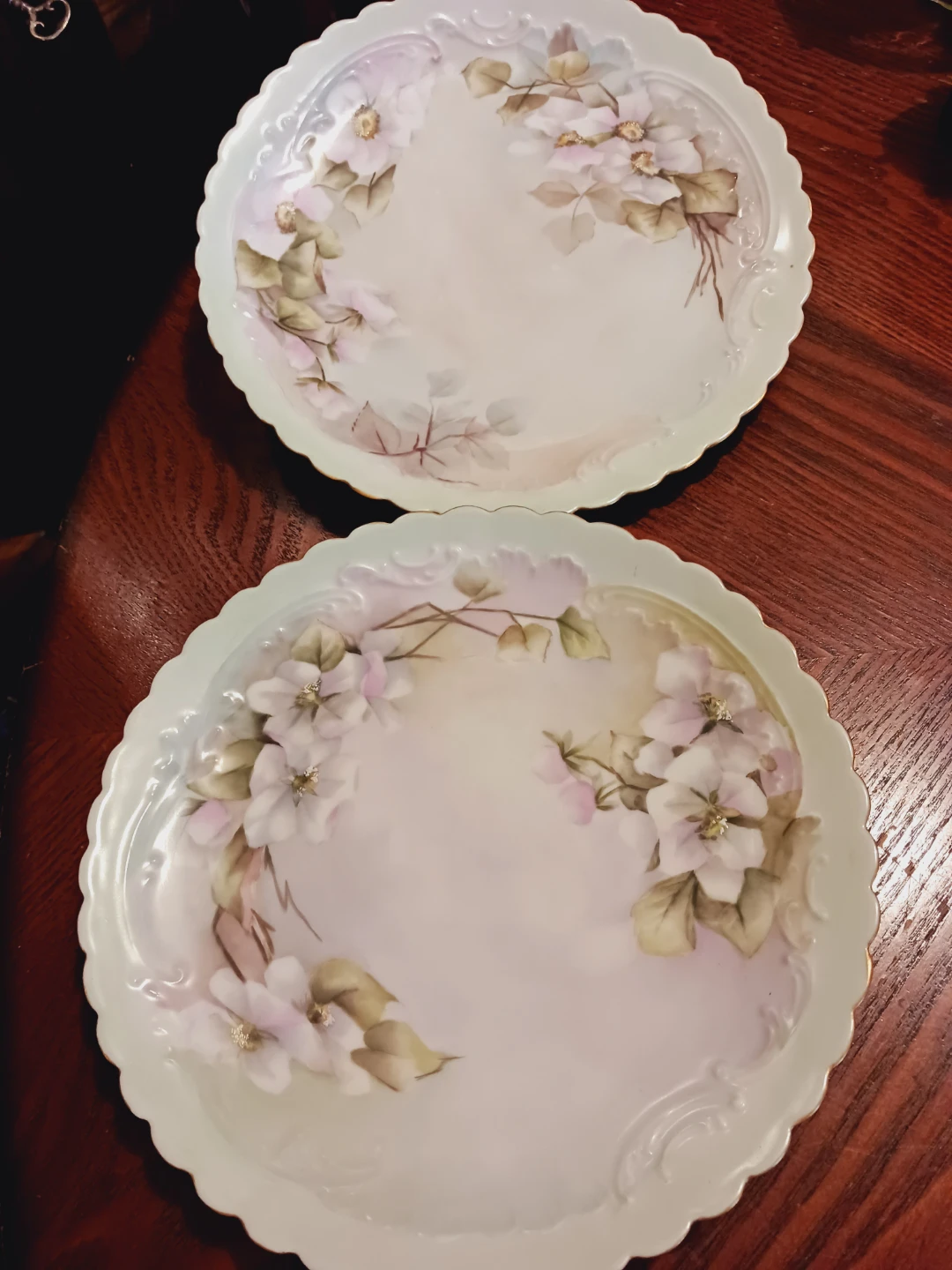 Set of 2 × Limoges France Handpainted Plates