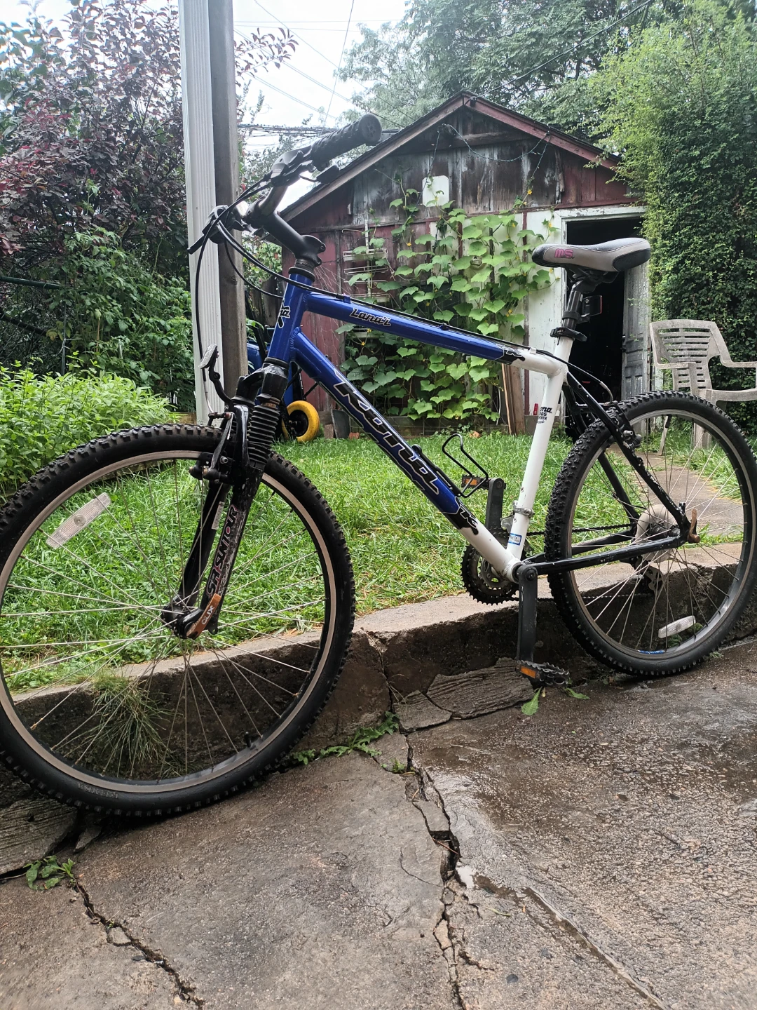 6 bikes $165 each - photo 3