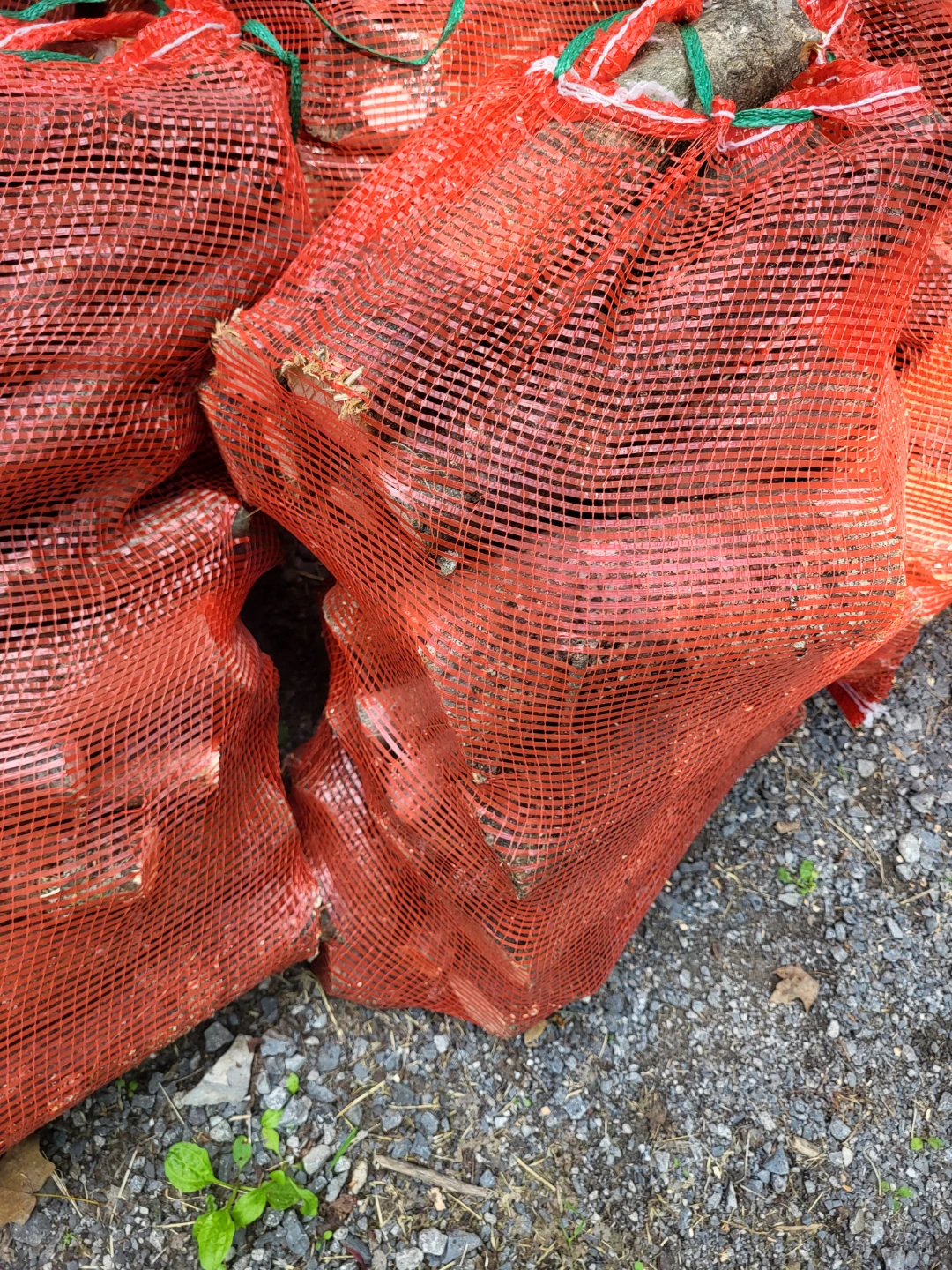 Bags of Campfire Firewood - photo 3
