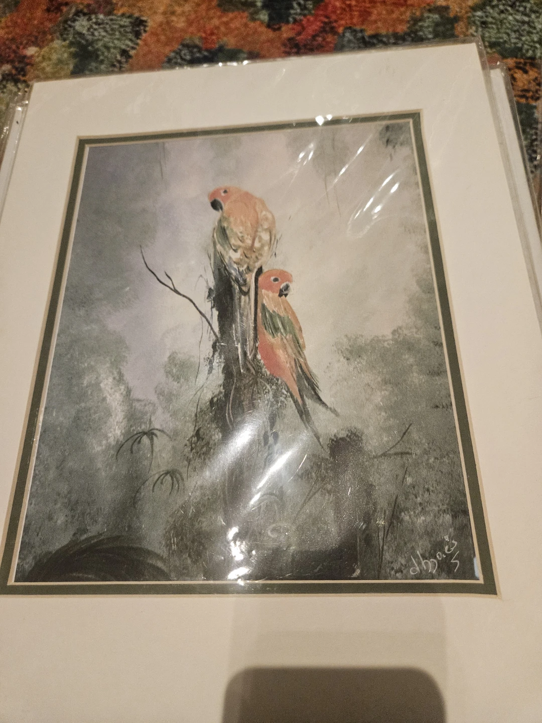 Framed Bird Art  Watercolors Print