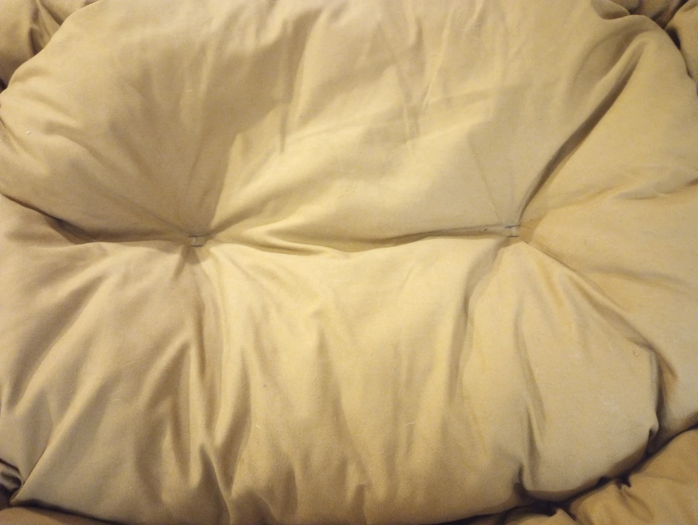 NEW Mammoth Luxury Dog Bed Large - photo 3