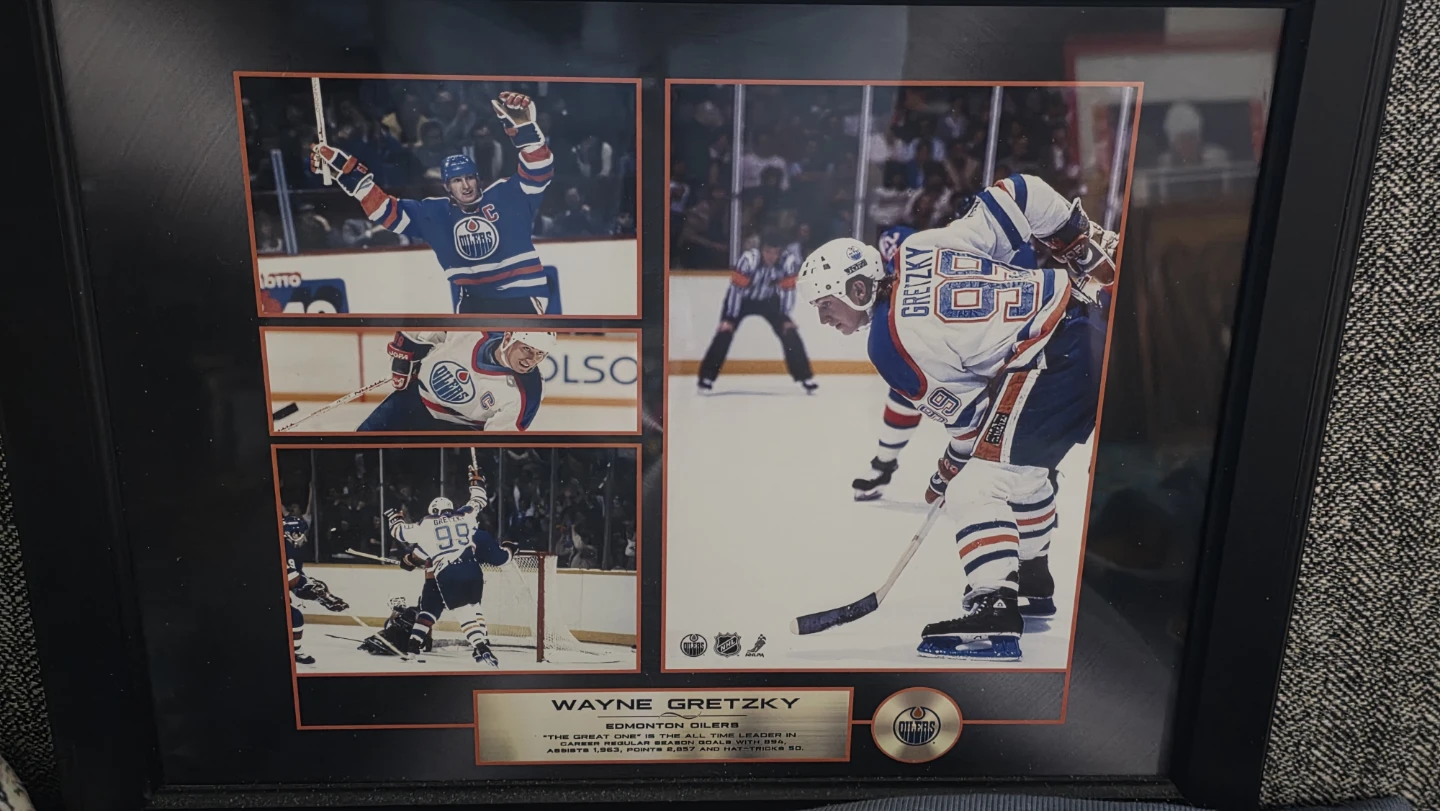 Wayne Gretzky Edmonton Oilers Framed Photo Collage