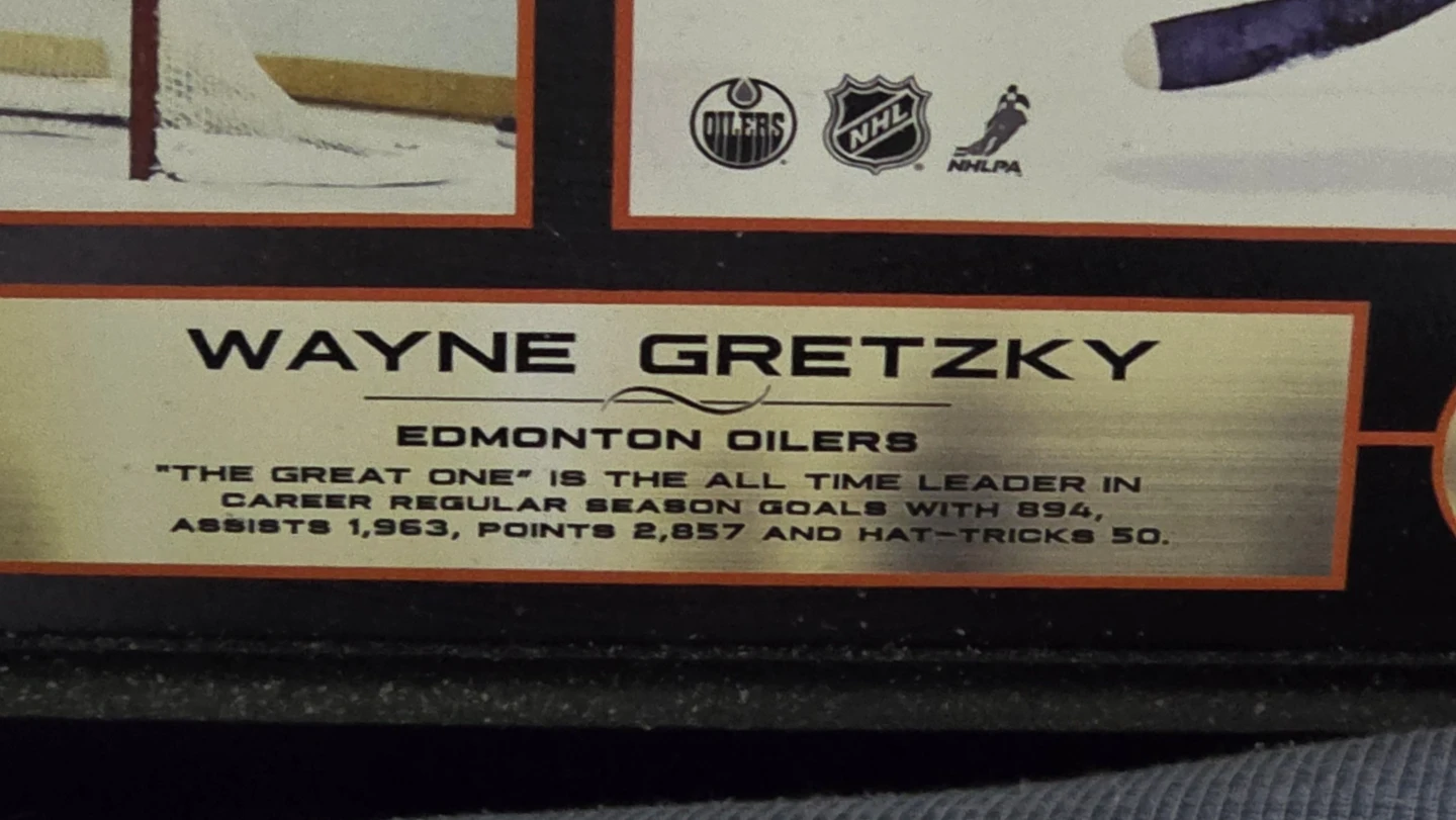 Wayne Gretzky Edmonton Oilers Framed Photo Collage - photo 2