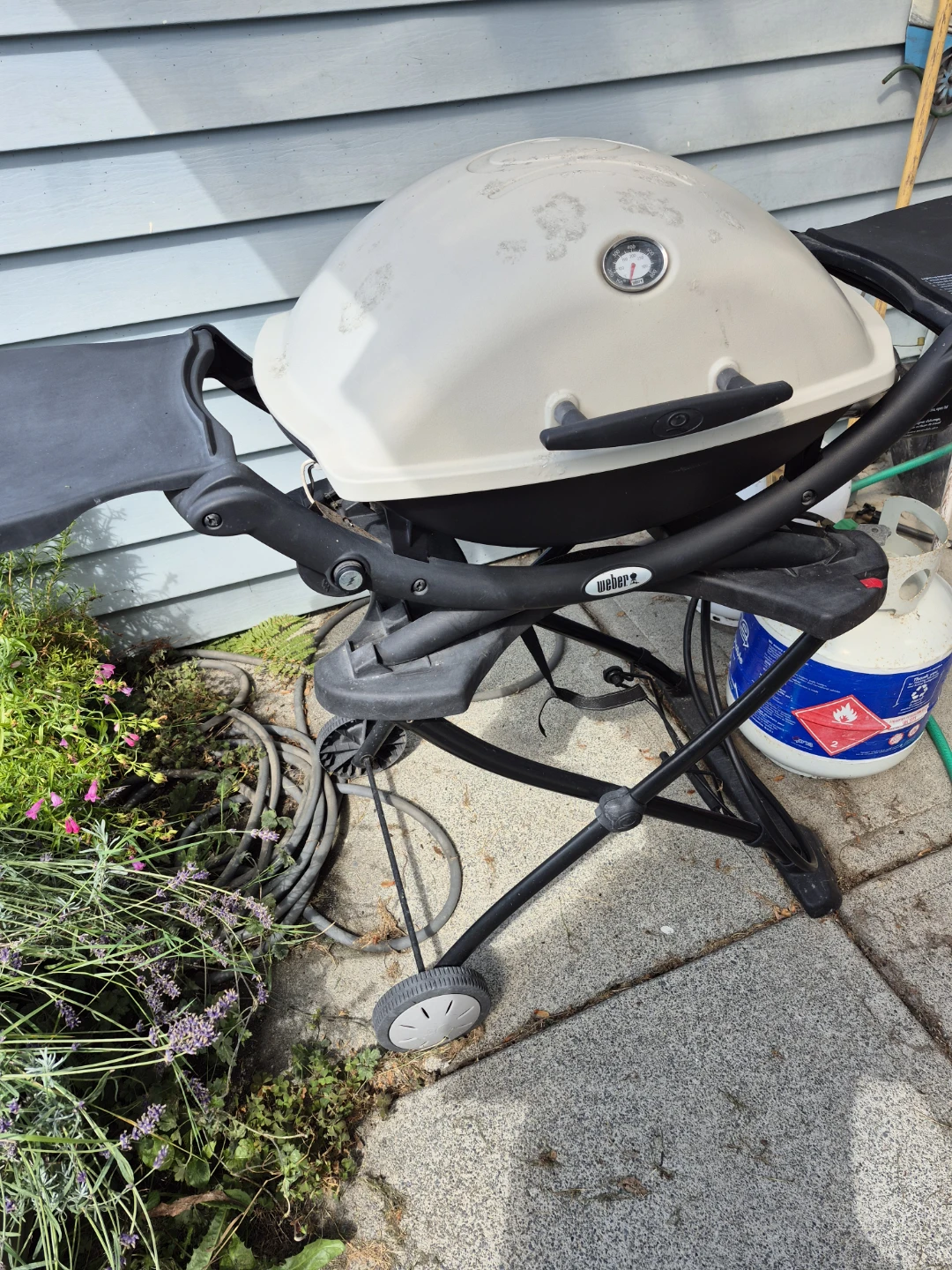 WEBER GRILL