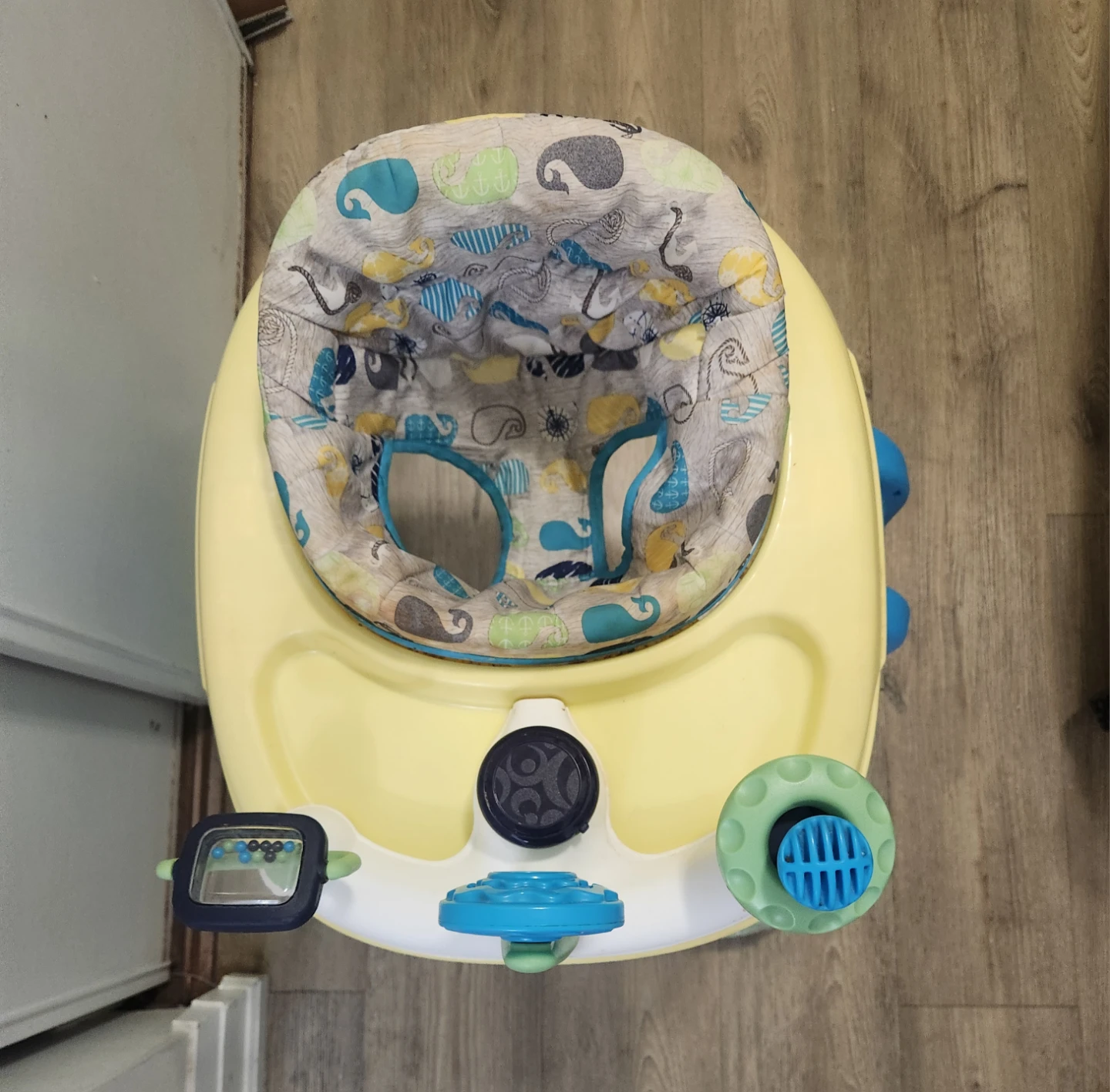 Safety 1st Starry Night Owl Baby Activity Walker - photo 4