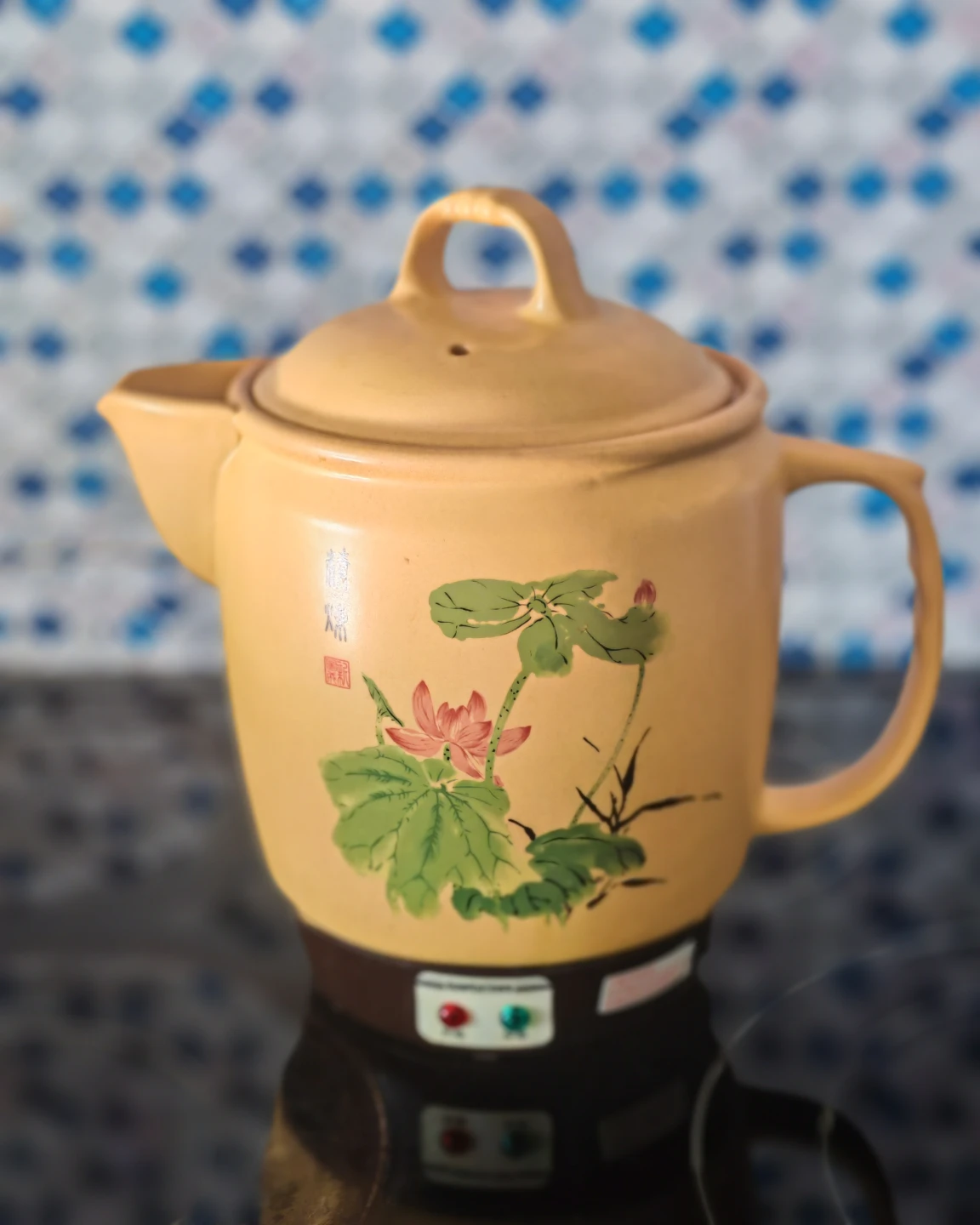 Electric Ceramic Herbal Medicine Pot – 3.8L