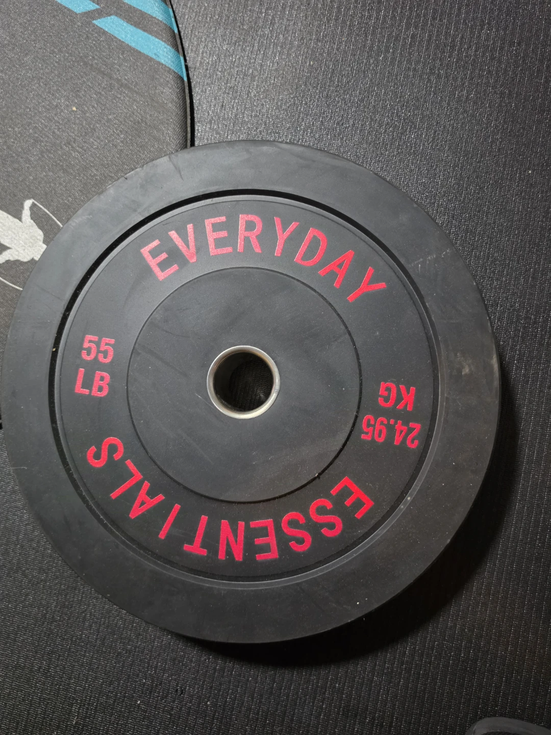 Everyday Essentials 55 LB Weight Plate