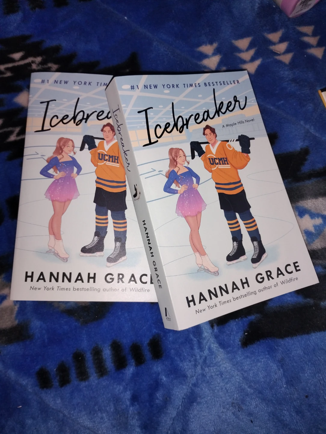 Icebreaker by Hannah Grace Novel