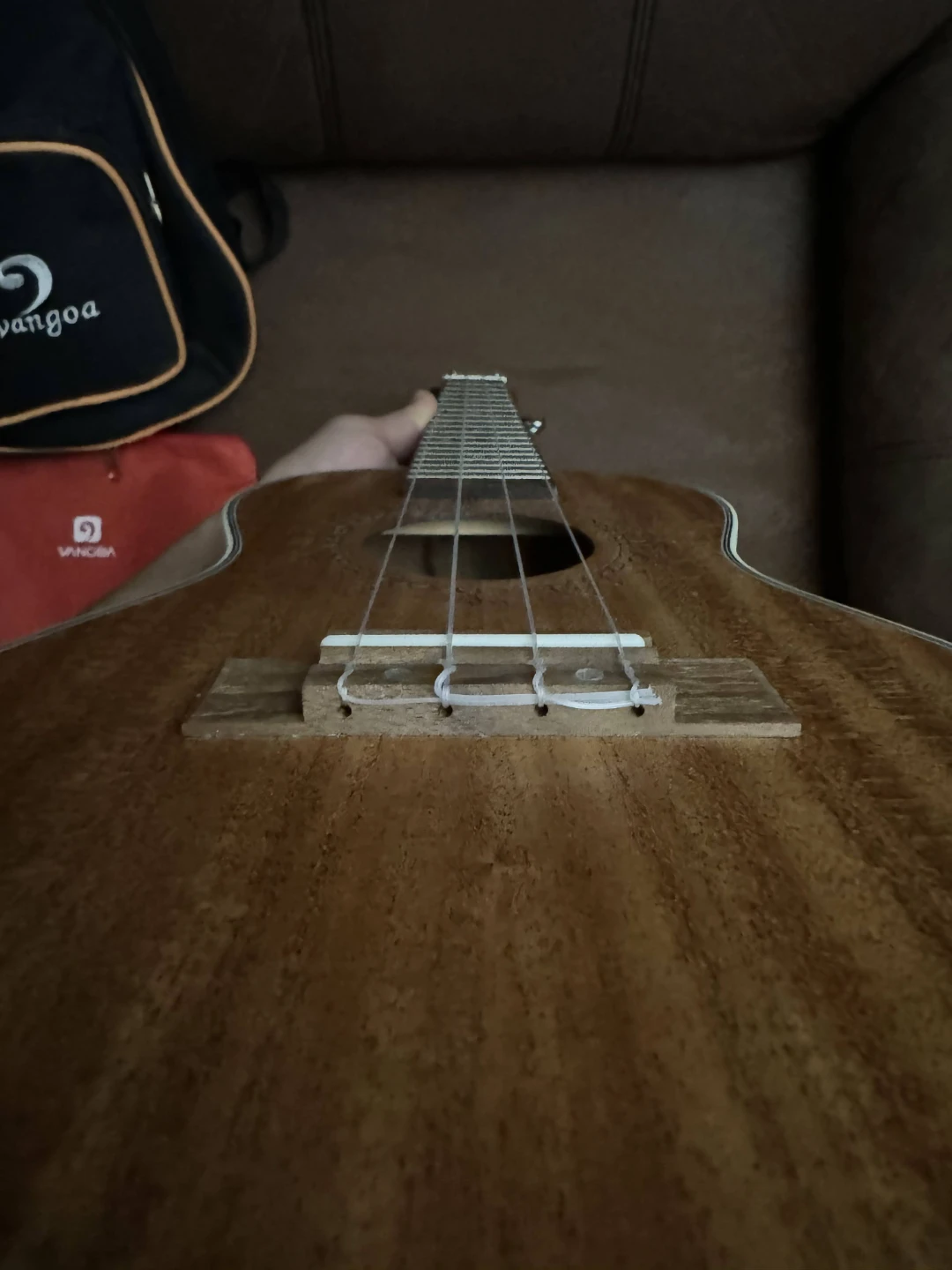 Rosewood Acoustic Type Ukulele (with complet ukulele kit) - photo 5