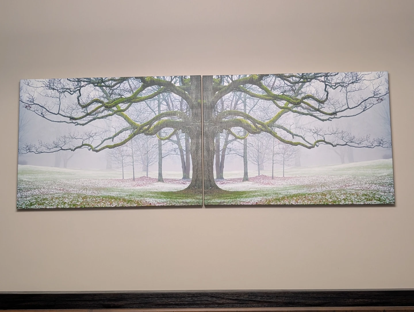 Split Canvas Wall Art