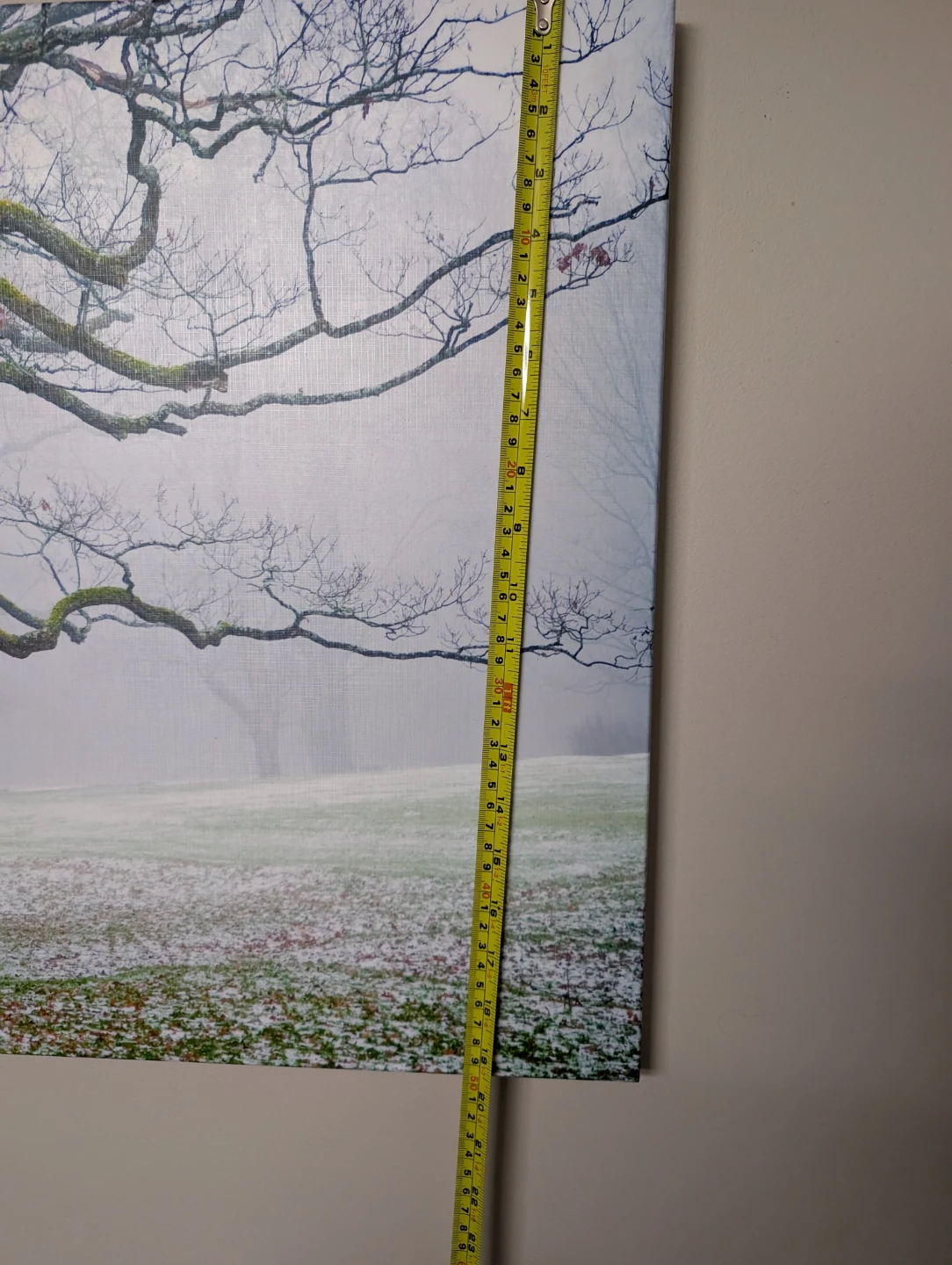 Split Canvas Wall Art - photo 3