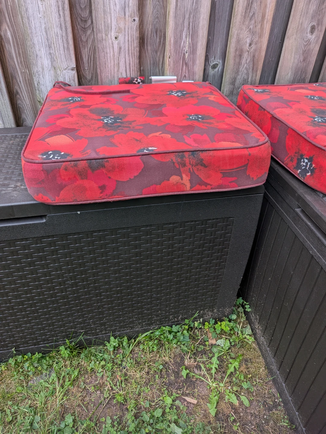 Outdoor Cushions