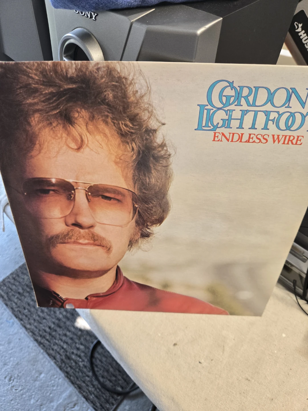 Gordon Lightfoot Endless Wire Vinyl Record