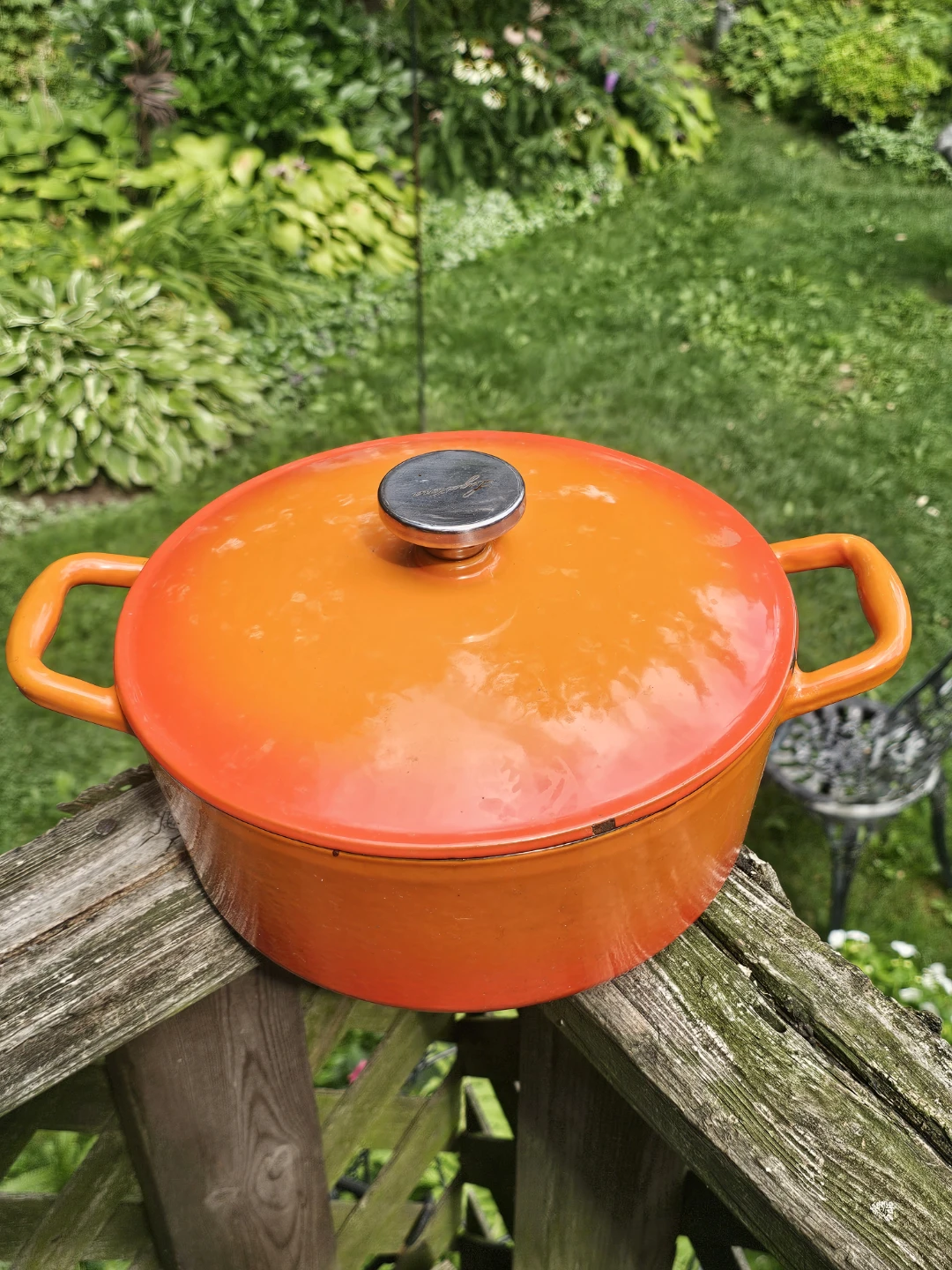 Lagostina Dutch Oven