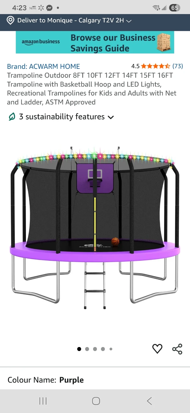 10 ft trampoline with net. Hoop and stand. New in unopened box.