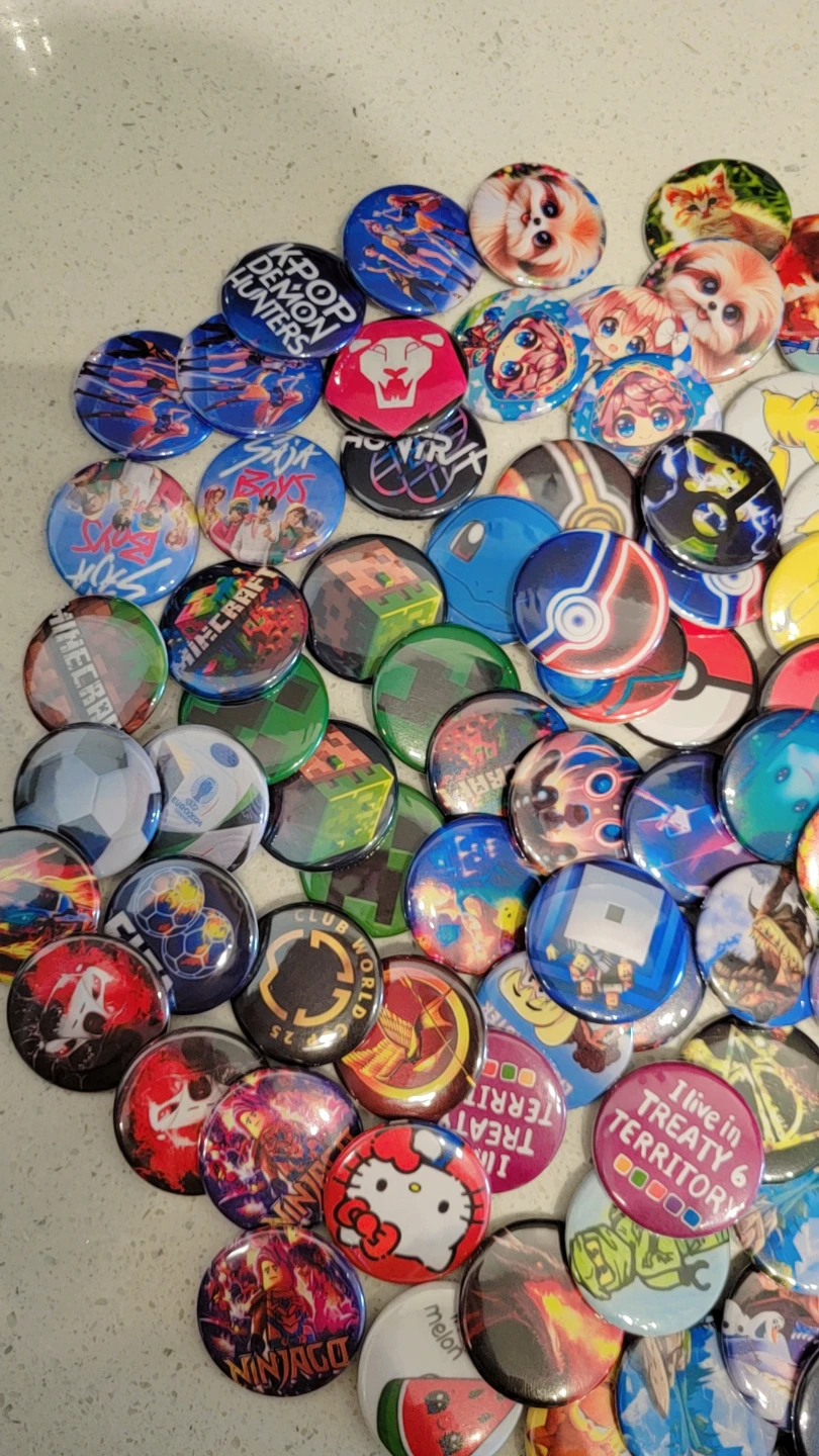 New Pins - photo 2