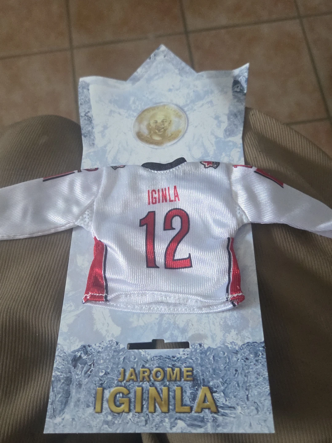 Jarome Iginla & Joe Sakic Mini Hockey Jerseys McDonald's