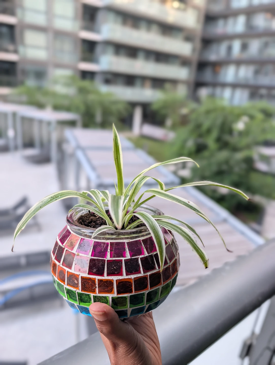 Upcycled Mosaic Glass Planter with Spider Plant