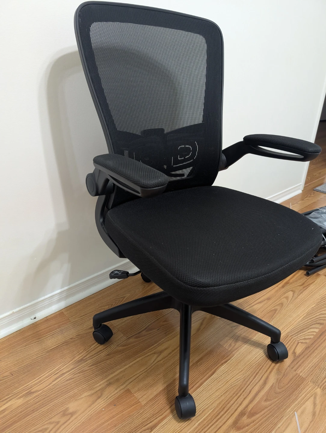 Black Mesh Office Chair with Adjustable Arms
