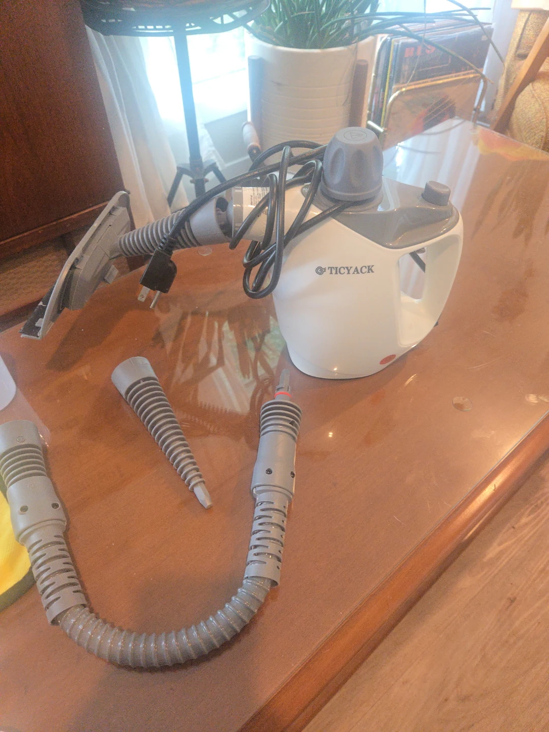 TICKYACK Handheld Steam Cleaner