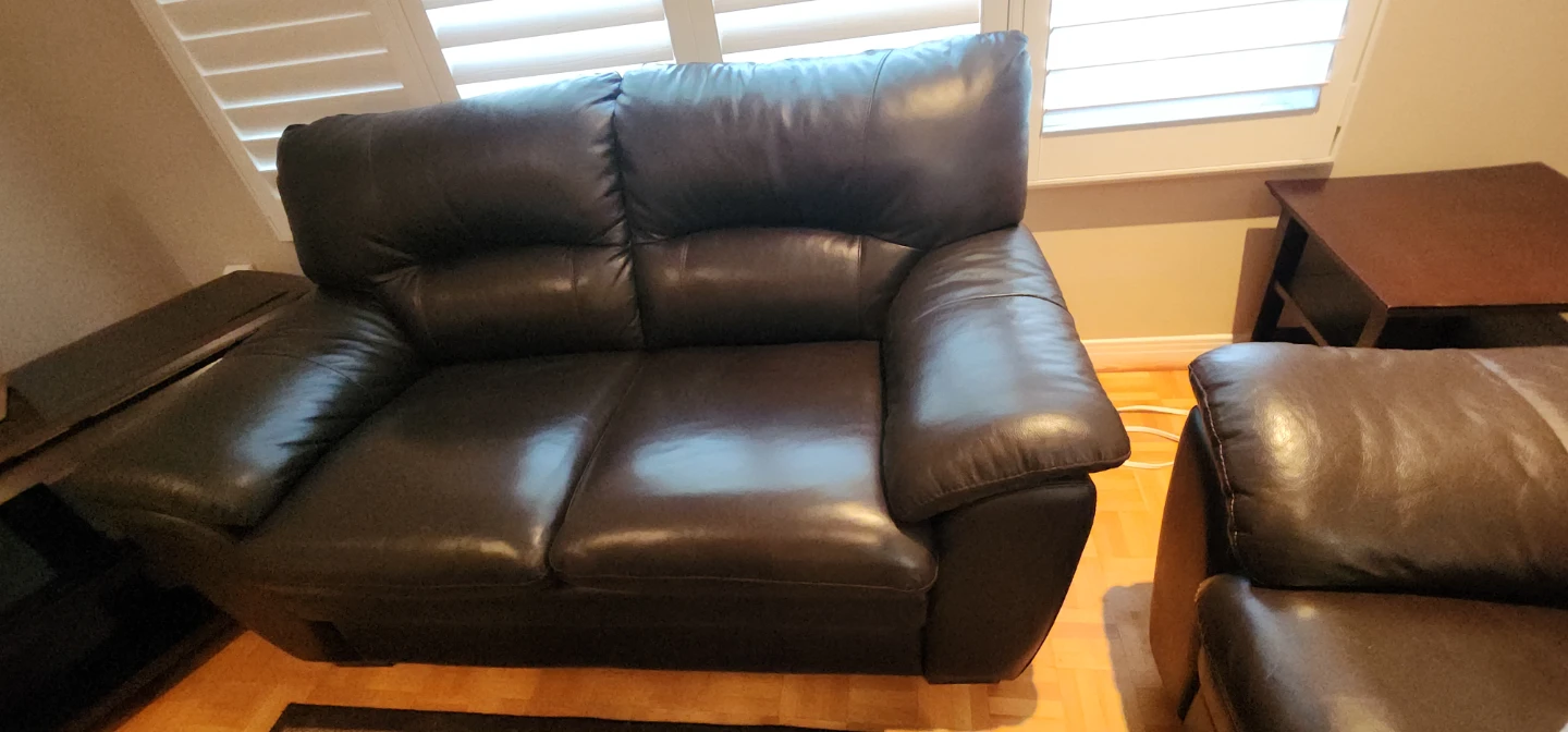 Dark Brown Leather Loveseat and Sofa Set