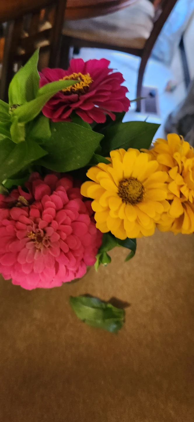 Mixed Zinnias Bouquet - photo 3