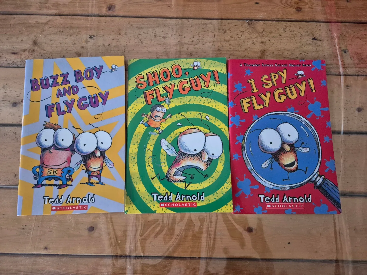 Fly Guy Book Series by Tedd Arnold - 15 books - photo 3
