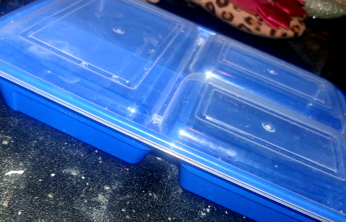 FREE.🥕 Blue Bento Box Container