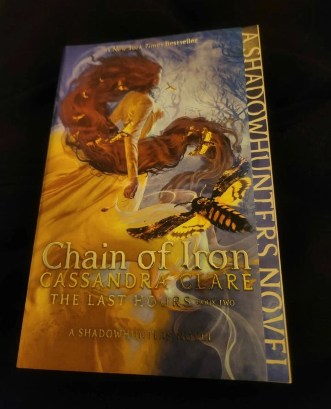 Chain of Gold and Chain of Iron Cassandra Clare Novels