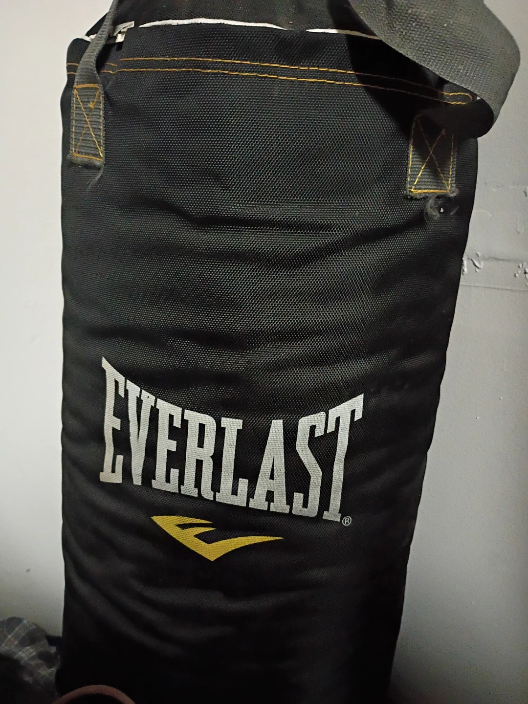 Everlast Punching Bag with Gloves