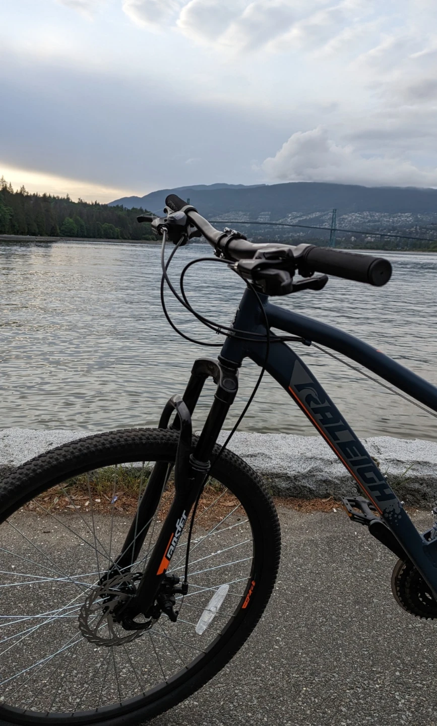 Raleigh Full Suspension Mountain Bike