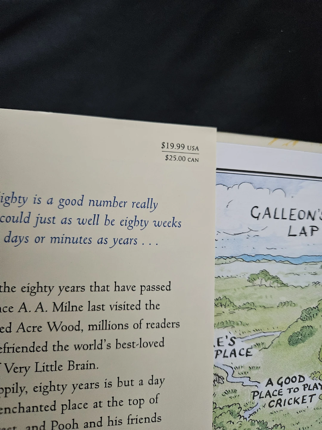 Return to the Hundred Acre Wood Hardcover Book - photo 3