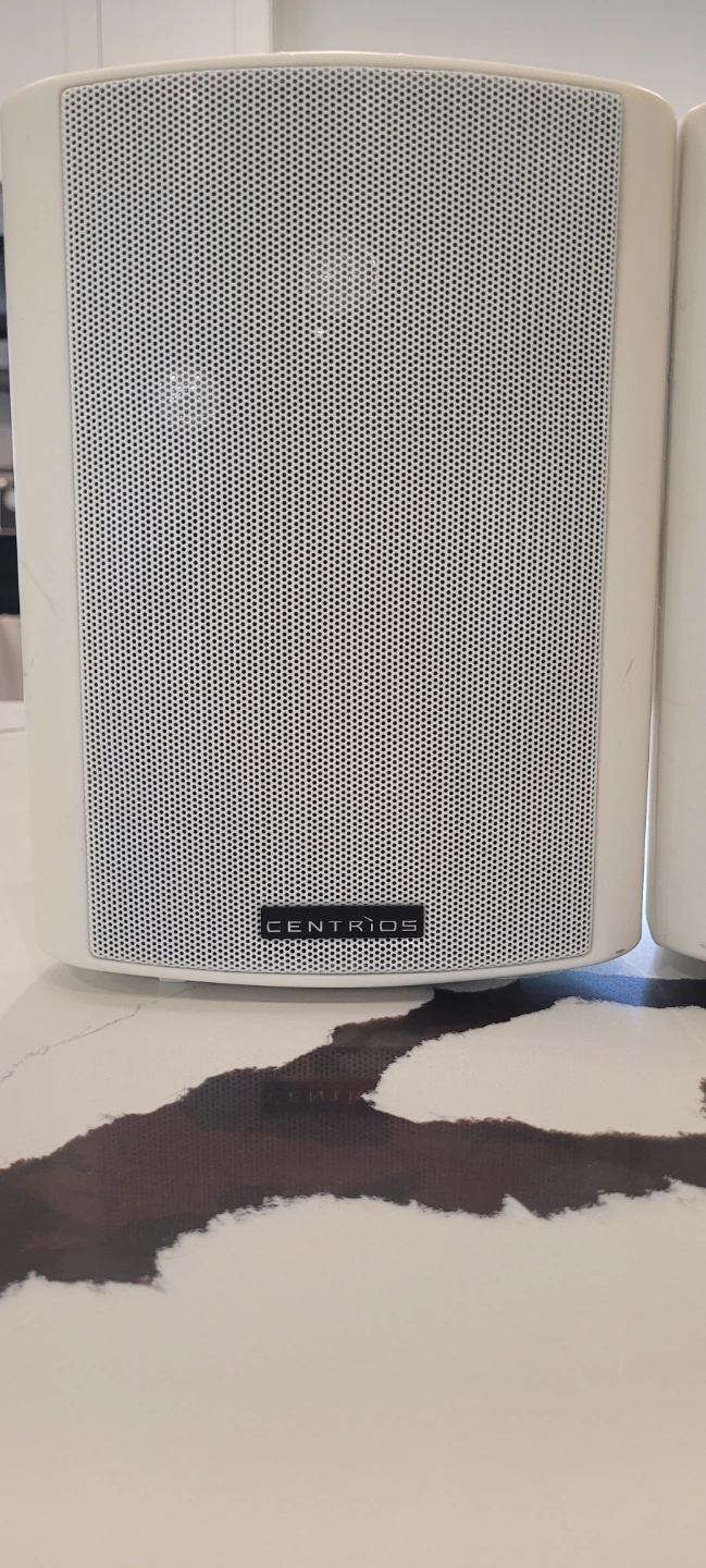 Centrios 4012161 Indoor/Outdoor Cabinet Speakers - photo 2