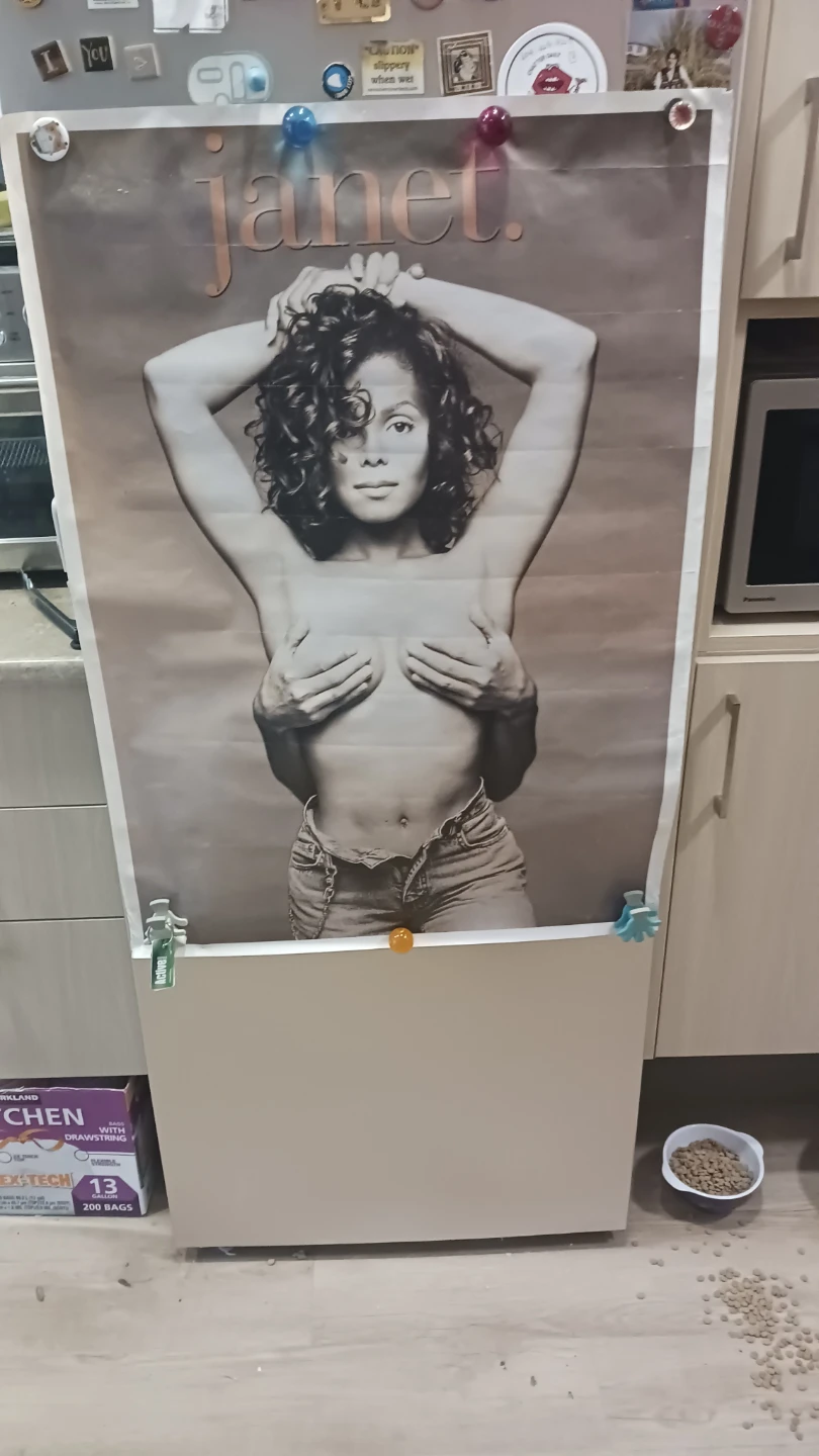 1993 Janet Jackson Poster Original Release - photo 2