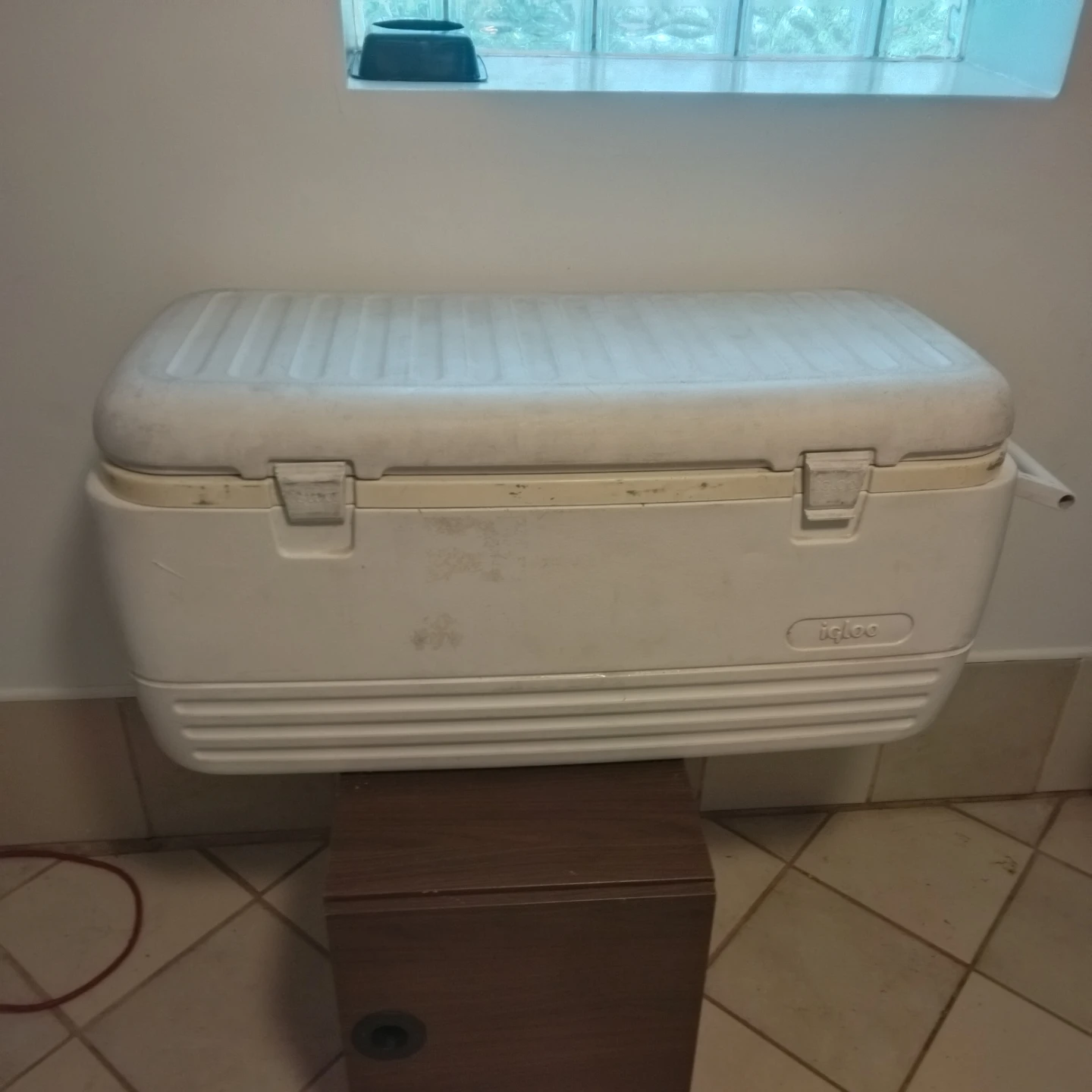 Large cooler