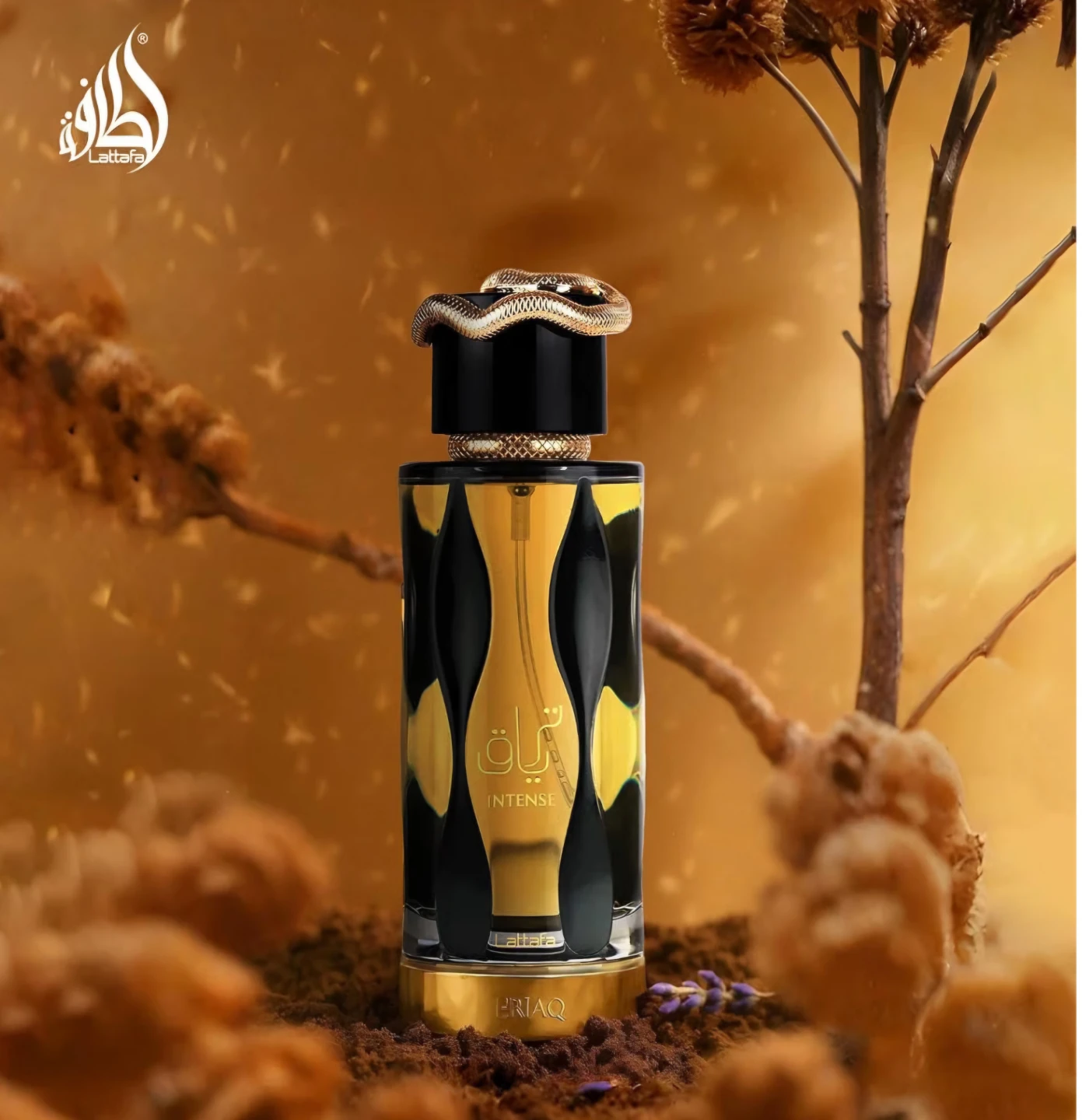 Lattafa Teriaq Intense Eau de Parfum - photo 3