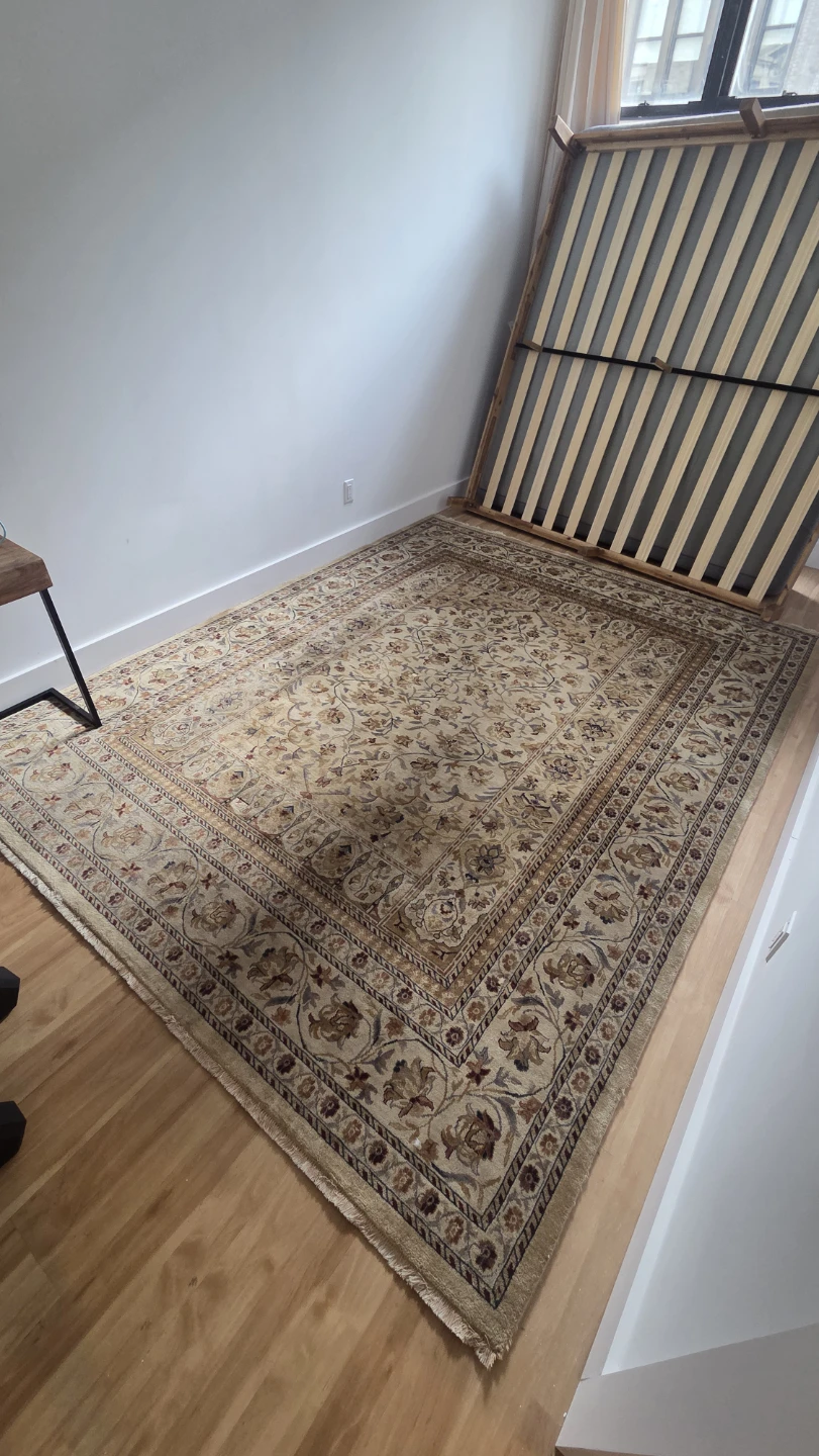 Persian Style Area Rug - photo 3