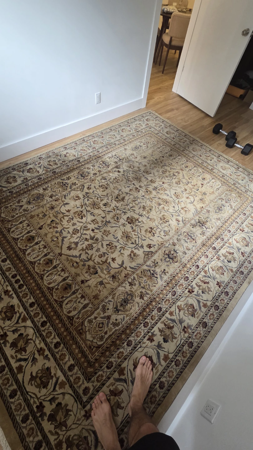 Persian Style Area Rug - photo 4